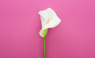 Quelle est la dangereuse du papillomavirus humain