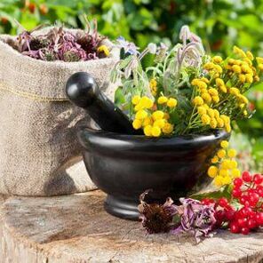 Herbes pour traiter les papillomes.